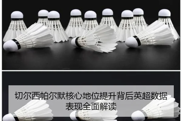 切尔西帕尔默核心地位提升背后英超数据表现全面解读 | c7c7·app