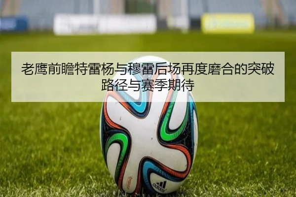 老鹰前瞻特雷杨与穆雷后场再度磨合的突破路径与赛季期待 - c7c7·app